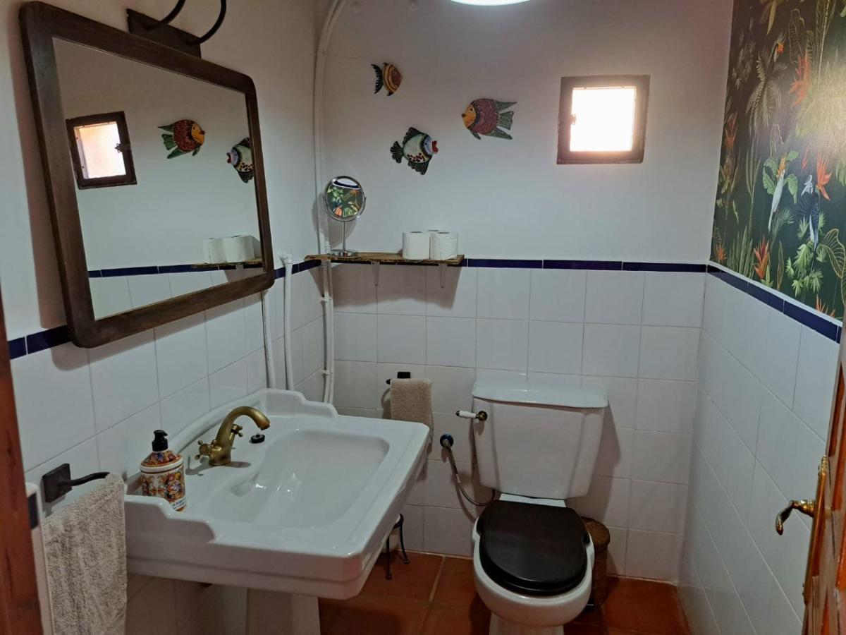 Casa Del Trotamundos ξενώνας Villamayor de Campos Εξωτερικό φωτογραφία